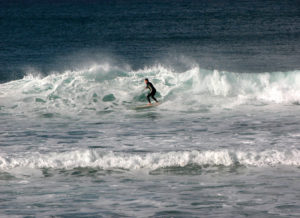 Surfing at Manly Beach